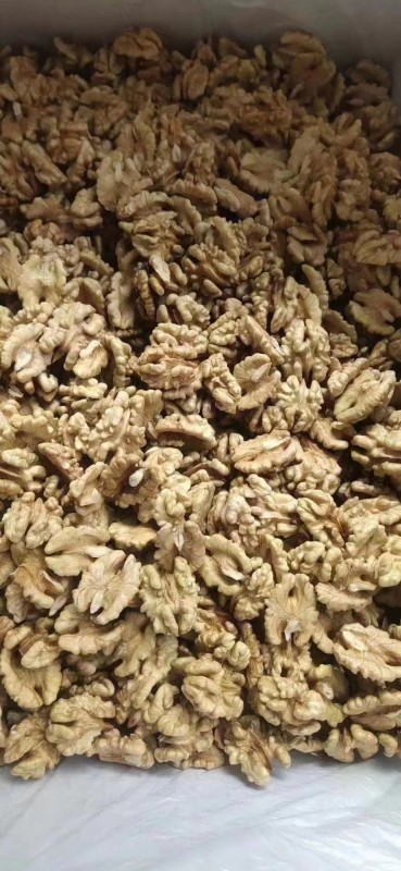 XinJiang Walnuts from China